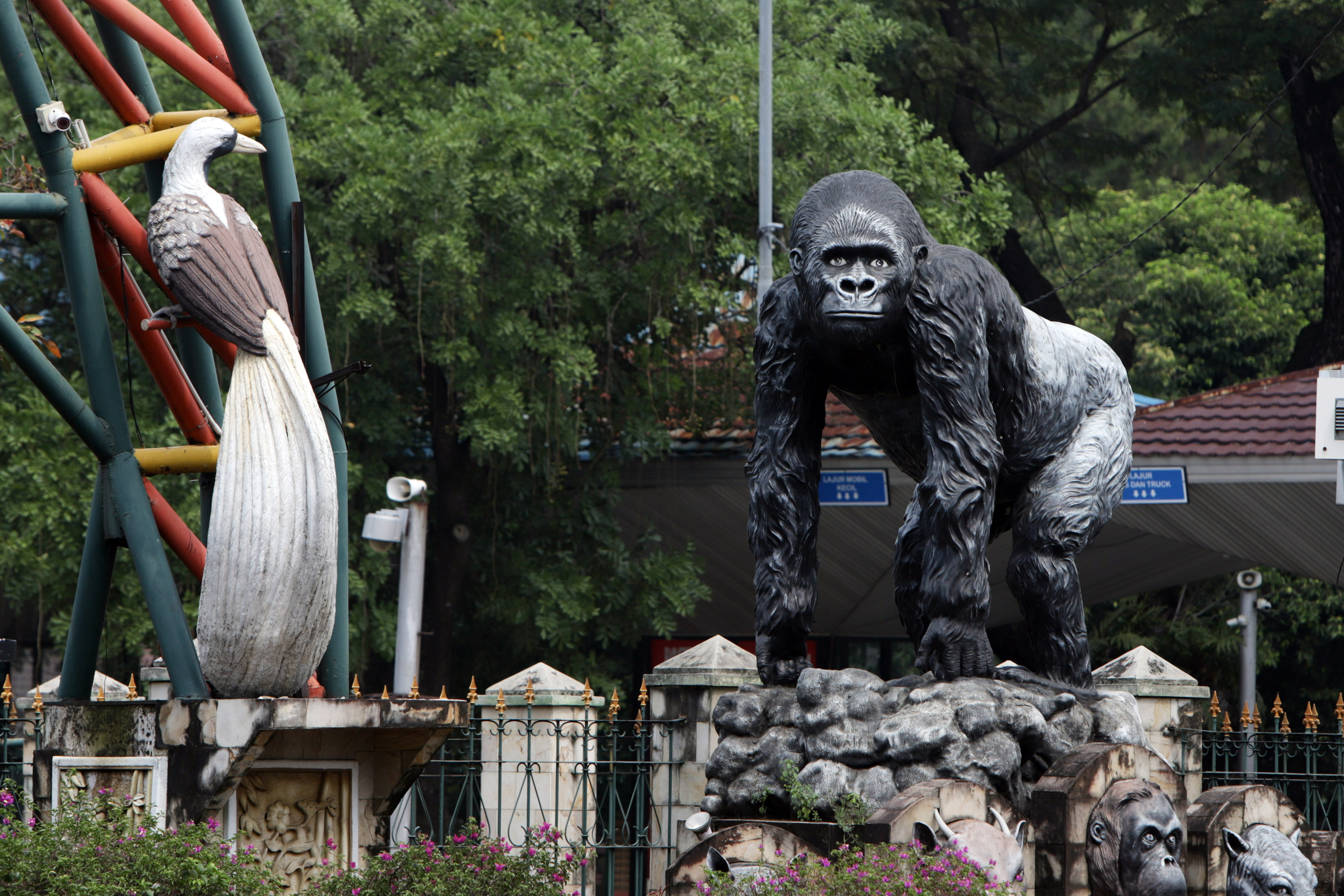 libur-lebaran-kebun-binatang-ragunan-masih-ditutup-untuk-umum_20200527_141058.jpg