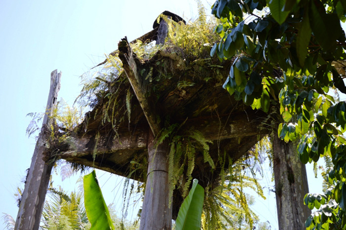 makam-kuni-aya_20150612_140129.jpg