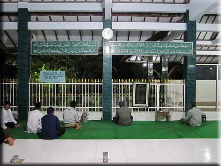 Yalangoch eshaklarning fotosuratlari ogzingizni suvga aylantiradi