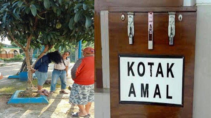 maling-diikat-di-pohon-mangga.jpg