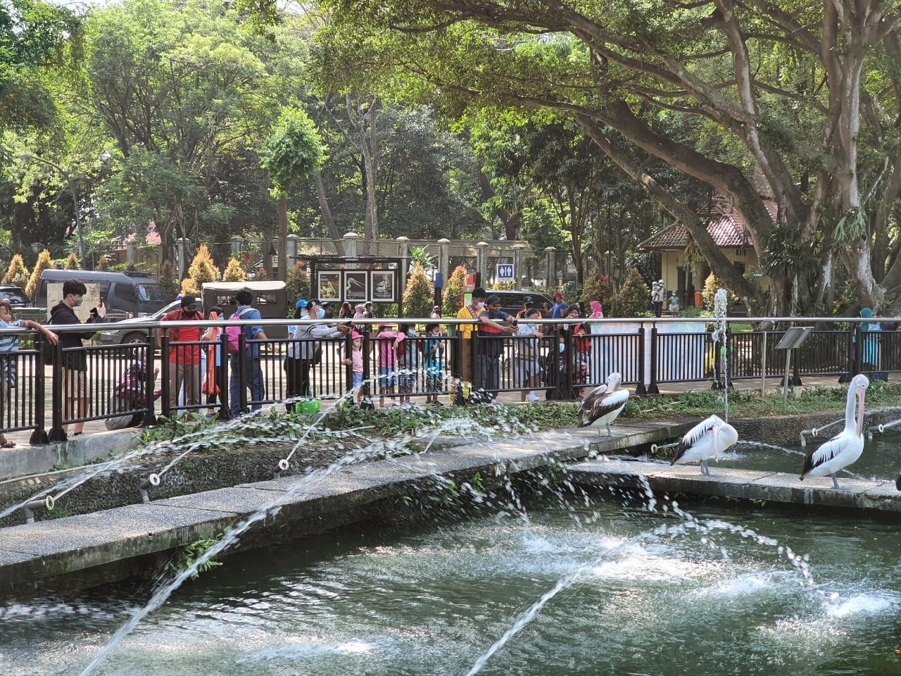 masyarakat-memadati-taman-margasatwa-ragunan-sehari-setelah-hari-raya-idul-fitri-2021.jpg