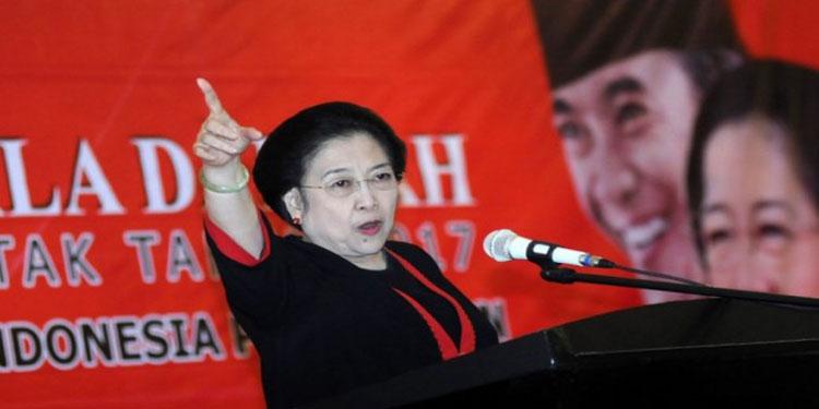 megawati-soekarnoputri-ketua-umum-pdi-perjuangan-mega.jpg