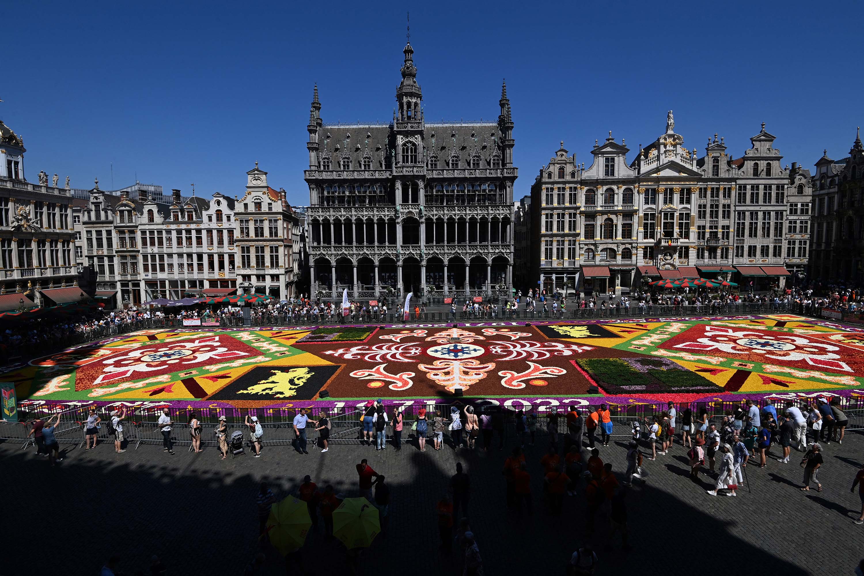 melihat-indahnya-karpet-bunga-di-grand-place-brussel_20220815_155733.jpg