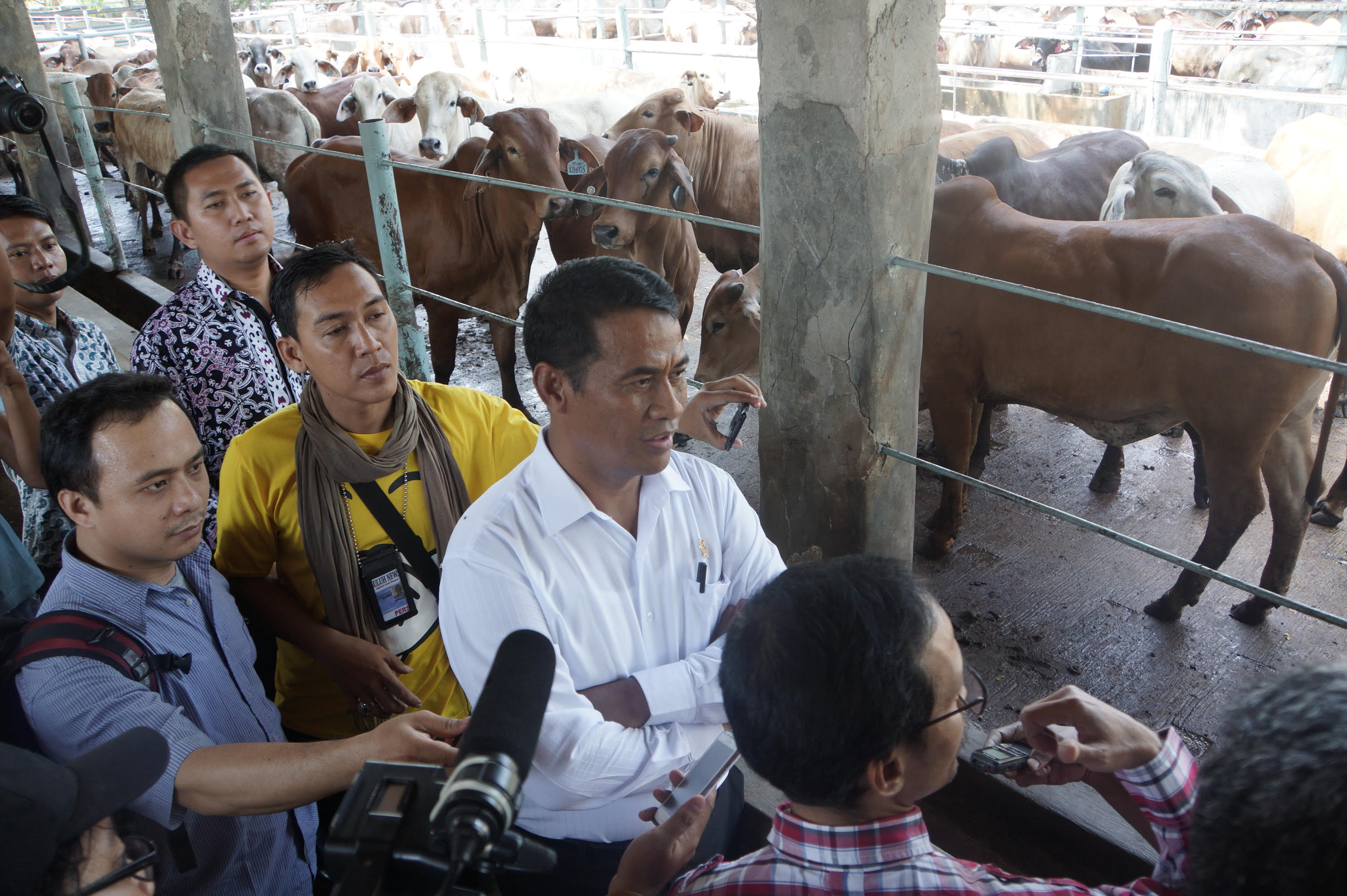 mentan-sidak-daging-sapi_20150813_164611.jpg