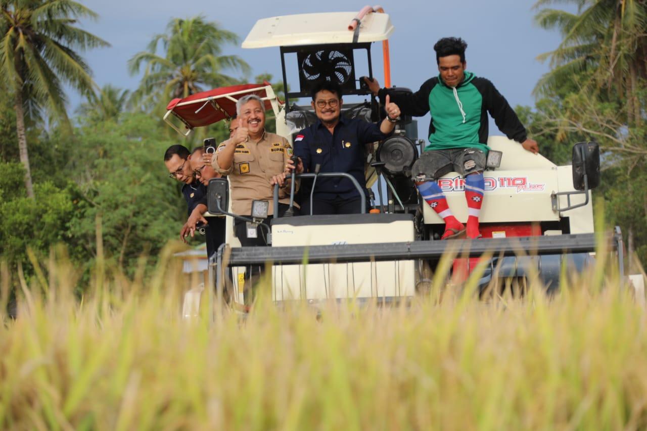 mentan-syl-dorong-petani-di-kabupaten-pinrang-segera-percepat-masa-tanam.jpg