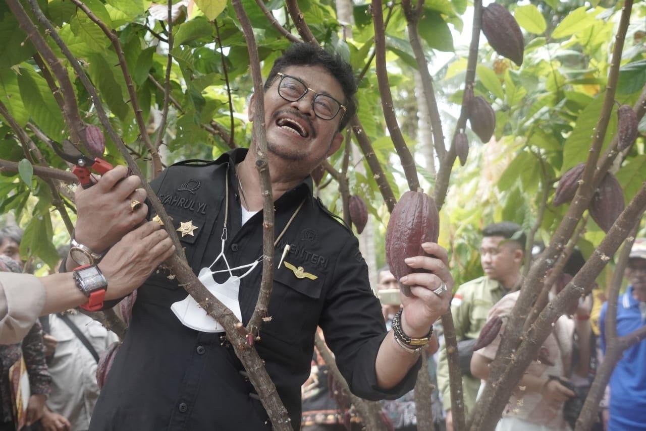 mentan-syl-tekankan-pengembangan-dan-hilirisasi-kakao.jpg