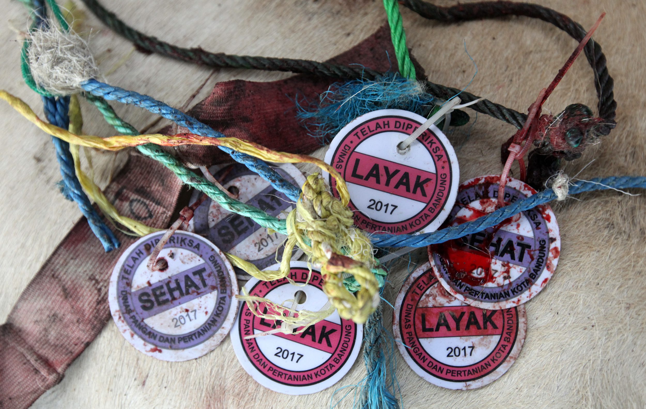 menyembelih-hewan-qurban-peringati-idul-adha-1438-h_20170902_180521.jpg