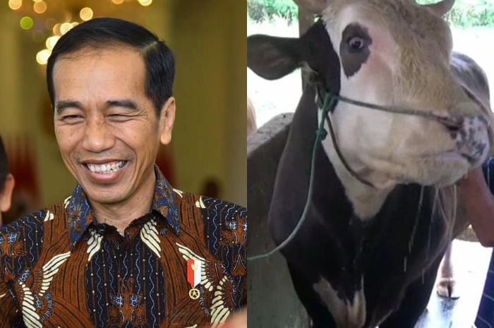 mike-tyson-sapi-jokowi.jpg
