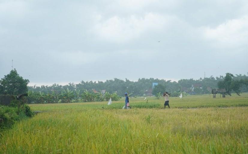 musim-kemarau-ekstrim-atau-elnino-diperkirakan-akan-mencapai-puncaknya-agustus-mendatang.jpg