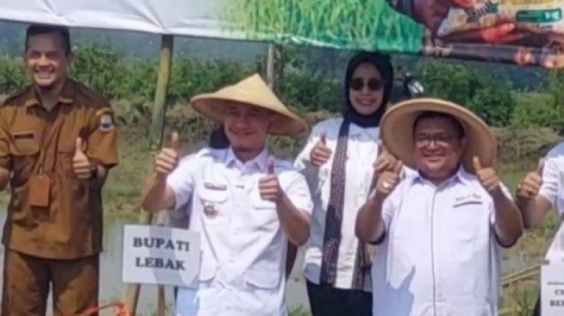 Perkuat Ketahanan Pangan, Lebak Targetkan Produksi Padi 8,7 Ton per Hektare