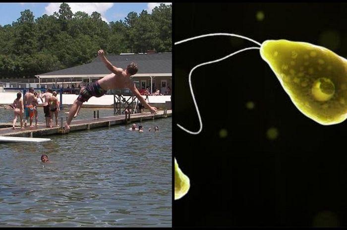parasit-di-kolam-renang-umum.jpg