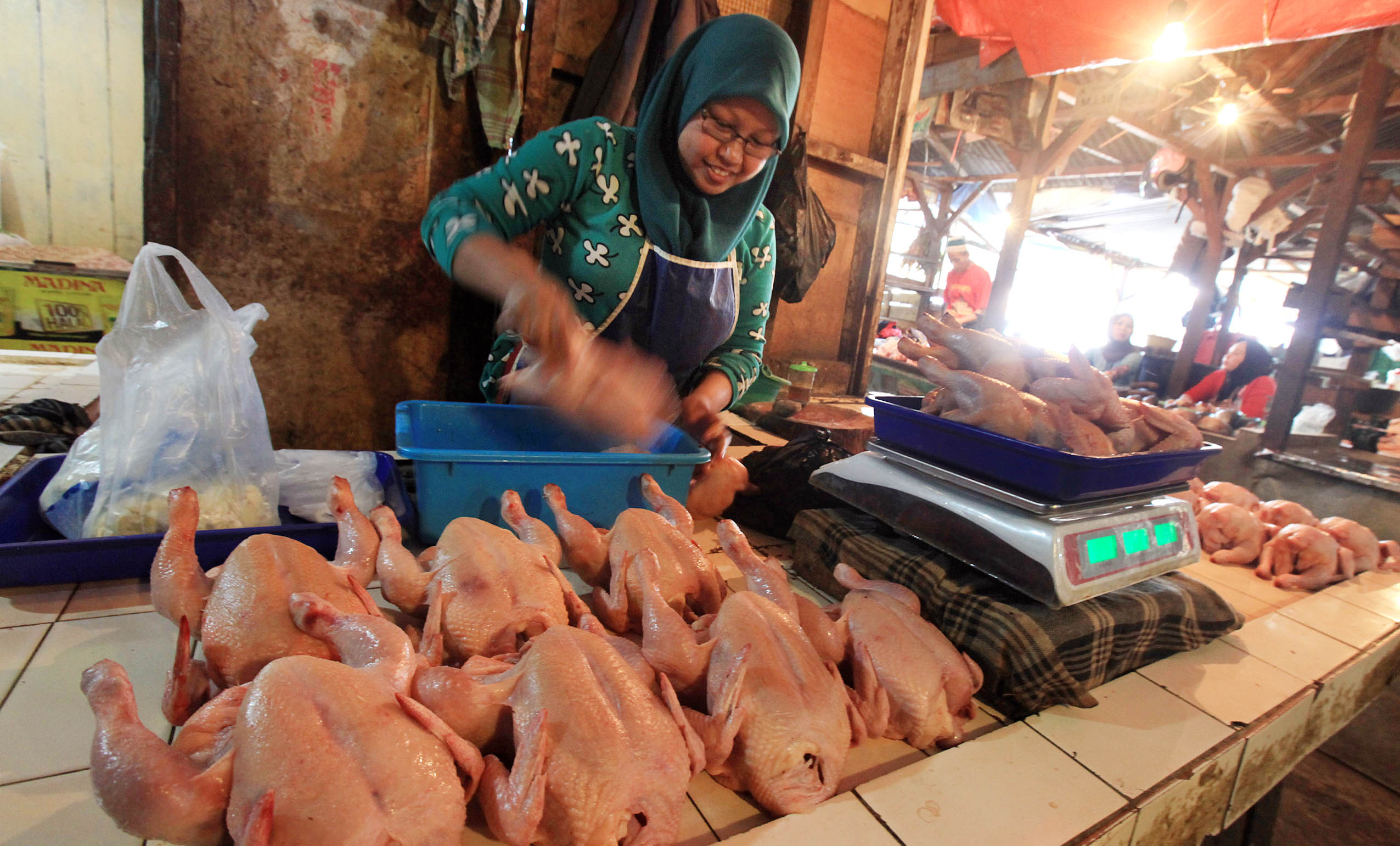 pedagang-daging-ayam-di-bandung-kembali-berjualan_20150825_004258.jpg