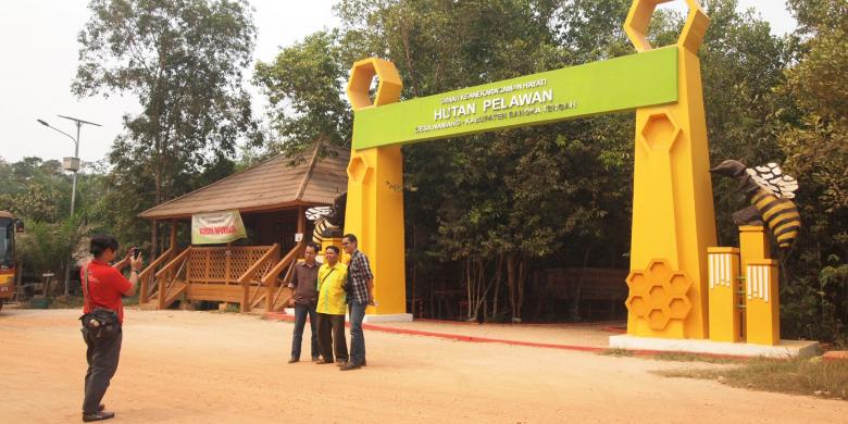 pelawan_20150912_154654.jpg