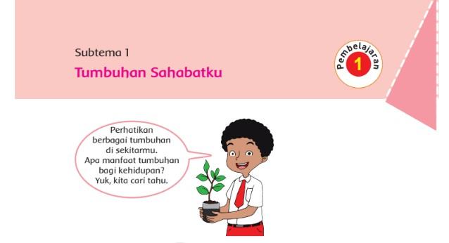 pembelajaran-1-subtema-1-tema-1-kelas-6-sd-buku-tematik.jpg