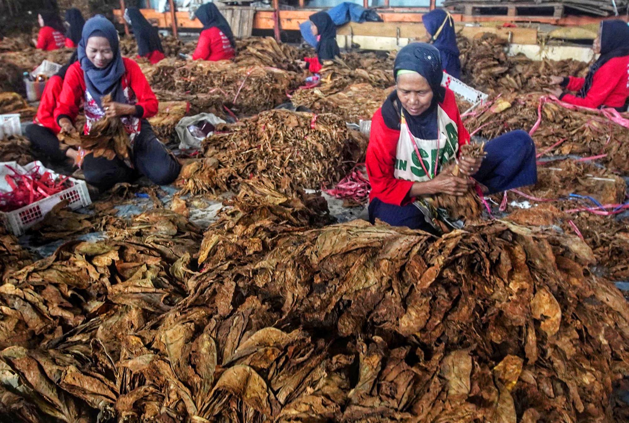 pemerintah-rencana-kenaikan-tarif-cukai-hasil-tembakau_20231227_184743.jpg