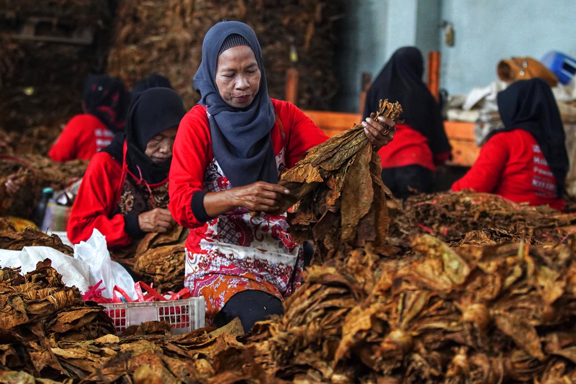 Kemenko Perekonomian Sebut Perumusan Regulasi Baru Perlu Jaga Penerimaan Negara dan Tenaga Kerja
