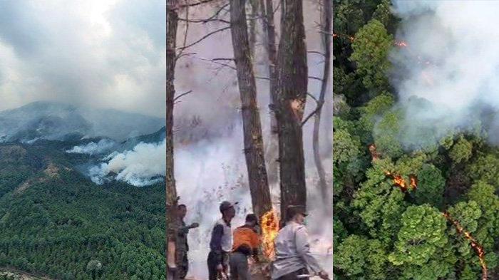 penampakan-kebakaran-hutan-lawu.jpg