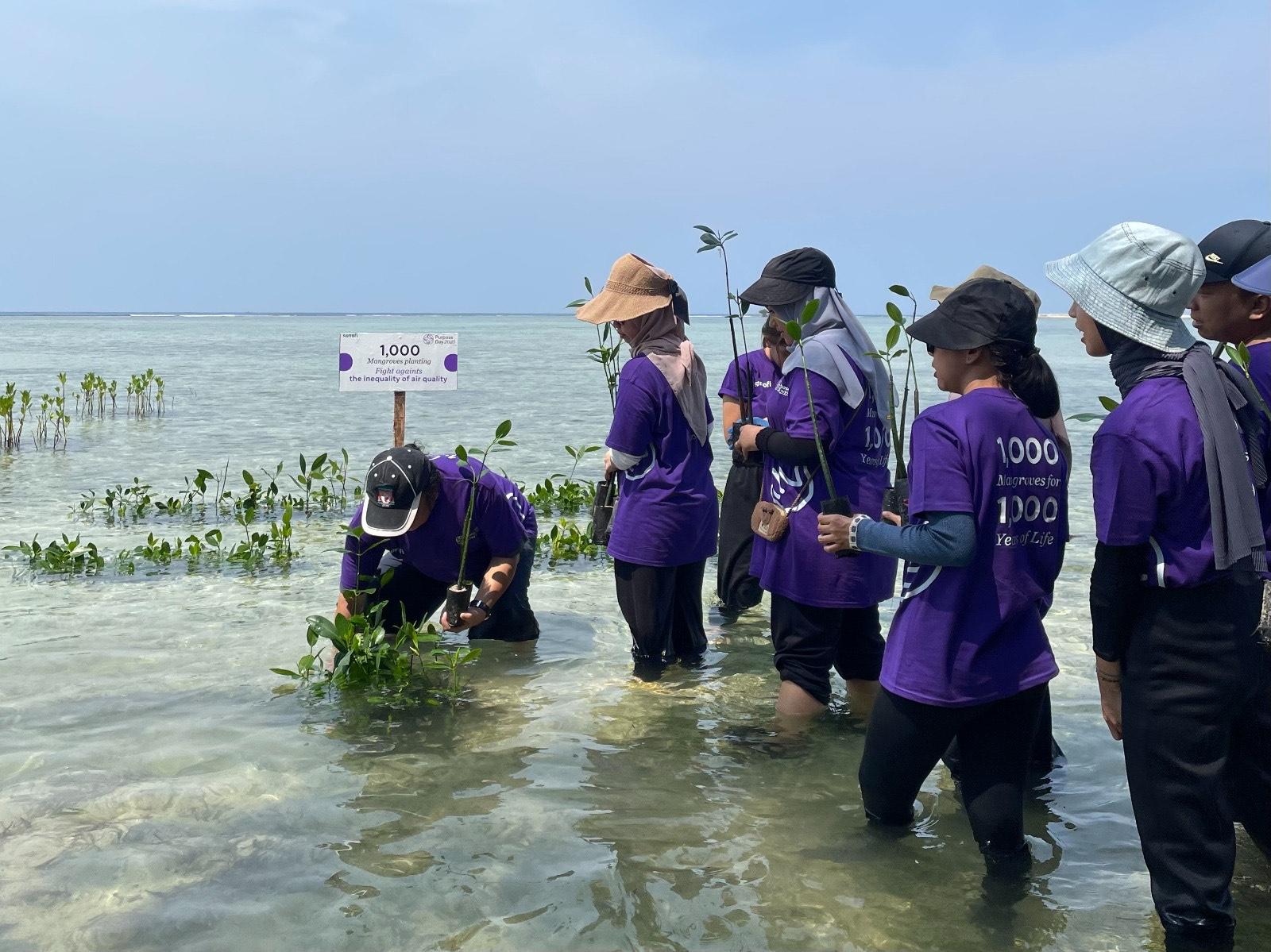 penanaman-1000-bibit-pohon-mangrove-di-pulau-pramuka-kepulauan-seribu.jpg