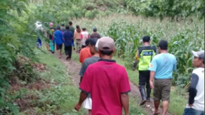 pencarian-petani-di-gunungkidul_20171224_213858.jpg