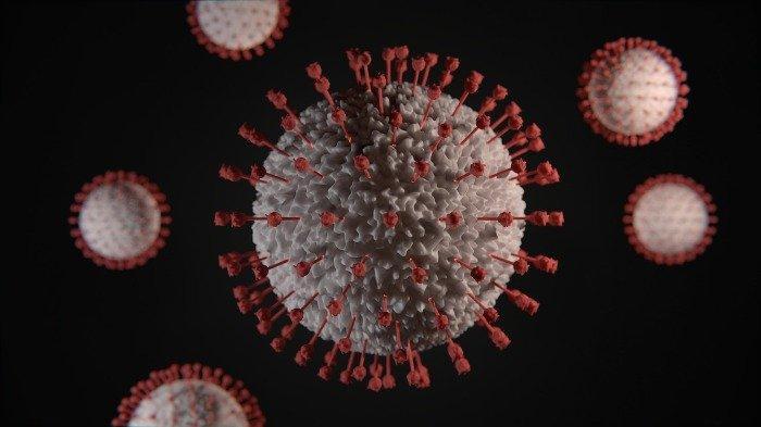 penggambaran-virus-corona.jpg