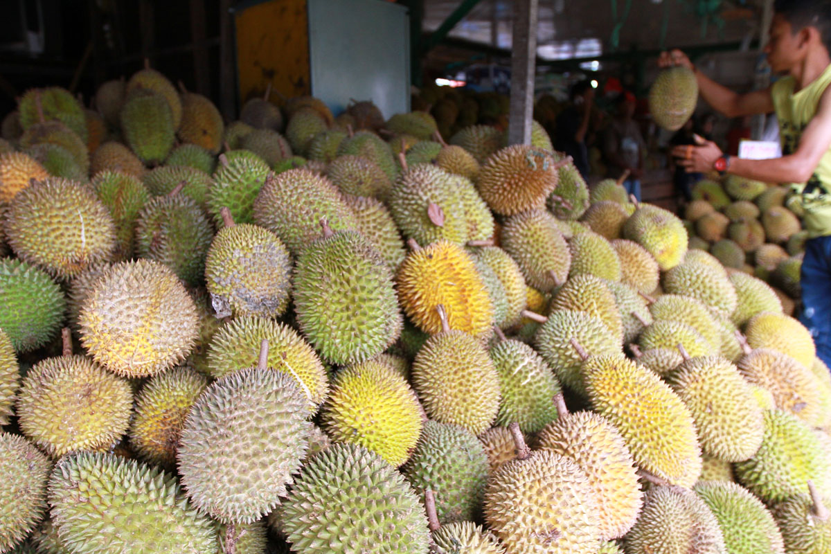 VIDEO Palembang Kebanjiran Durian Empat Lawang