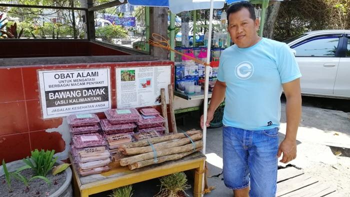 Bajakah, Antara Obat dan Racun, Ini Cara Ikhlas Warga Ibu Kota Baru Indonesia Memberikannya Gratis