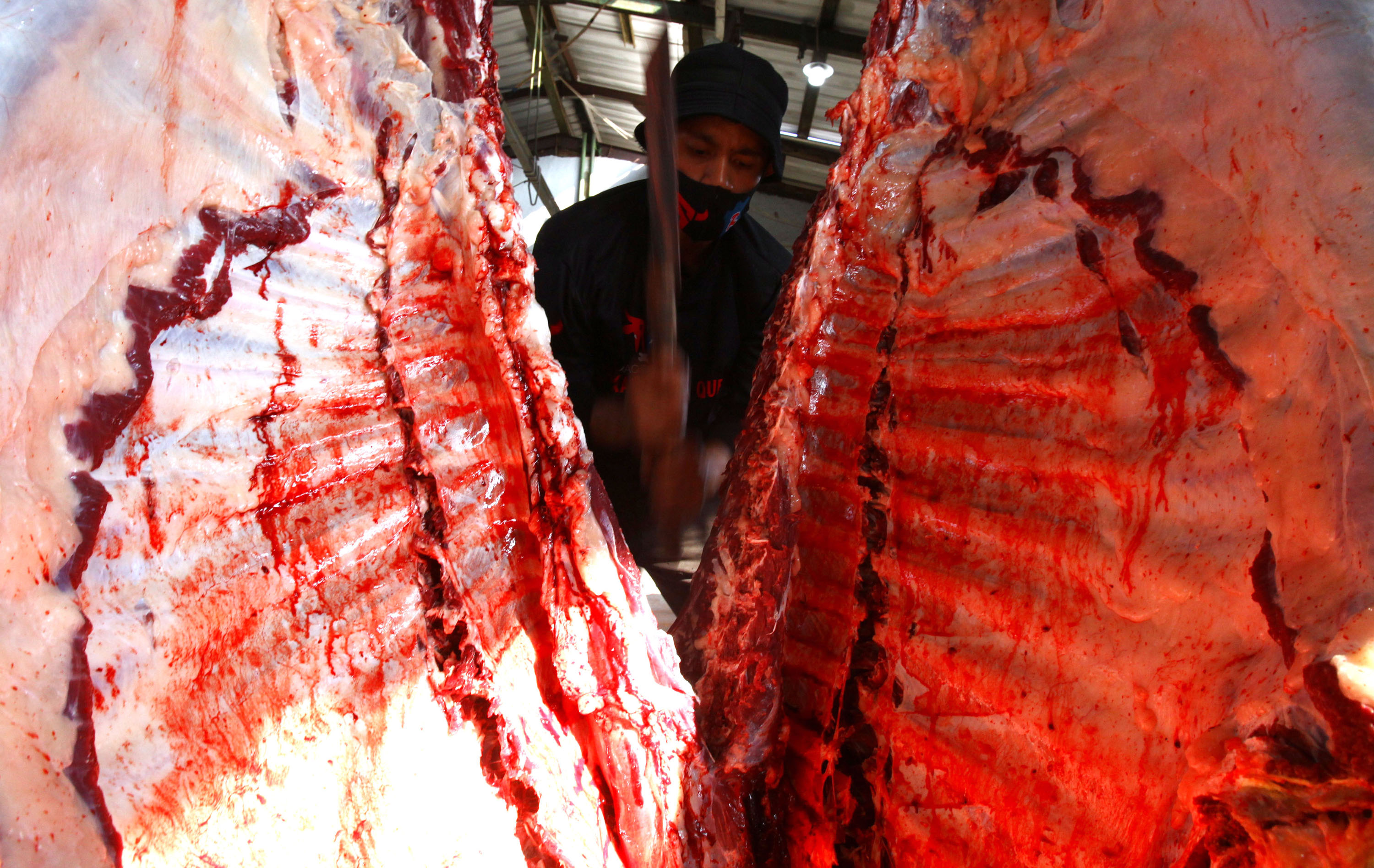 penyembelihan-sapi-kurban-di-rph-terapkan-protokol-kesehatan_20200731_224957.jpg