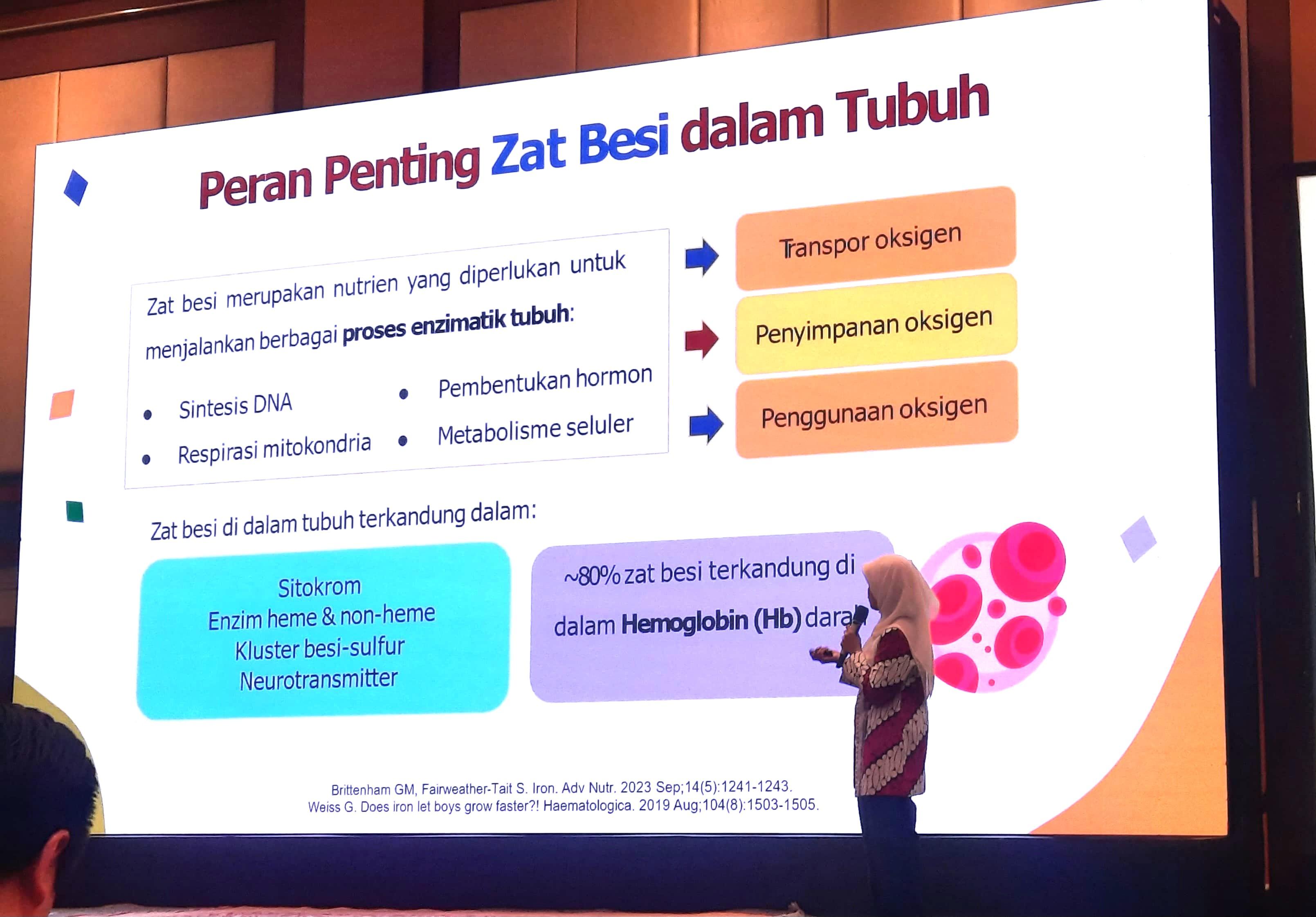 peran-penting-zat-besi.jpg