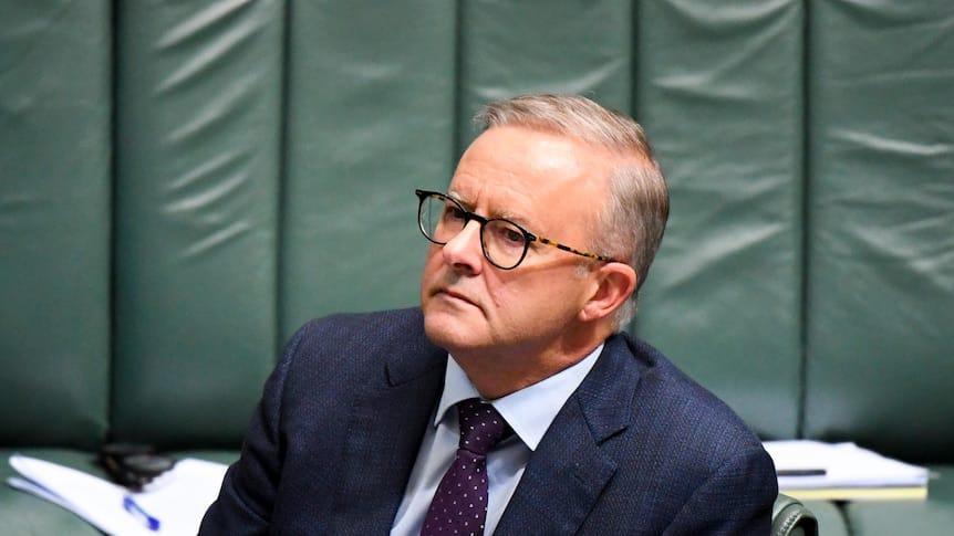 perdana-menteri-australia-anthony-albanese11.jpg