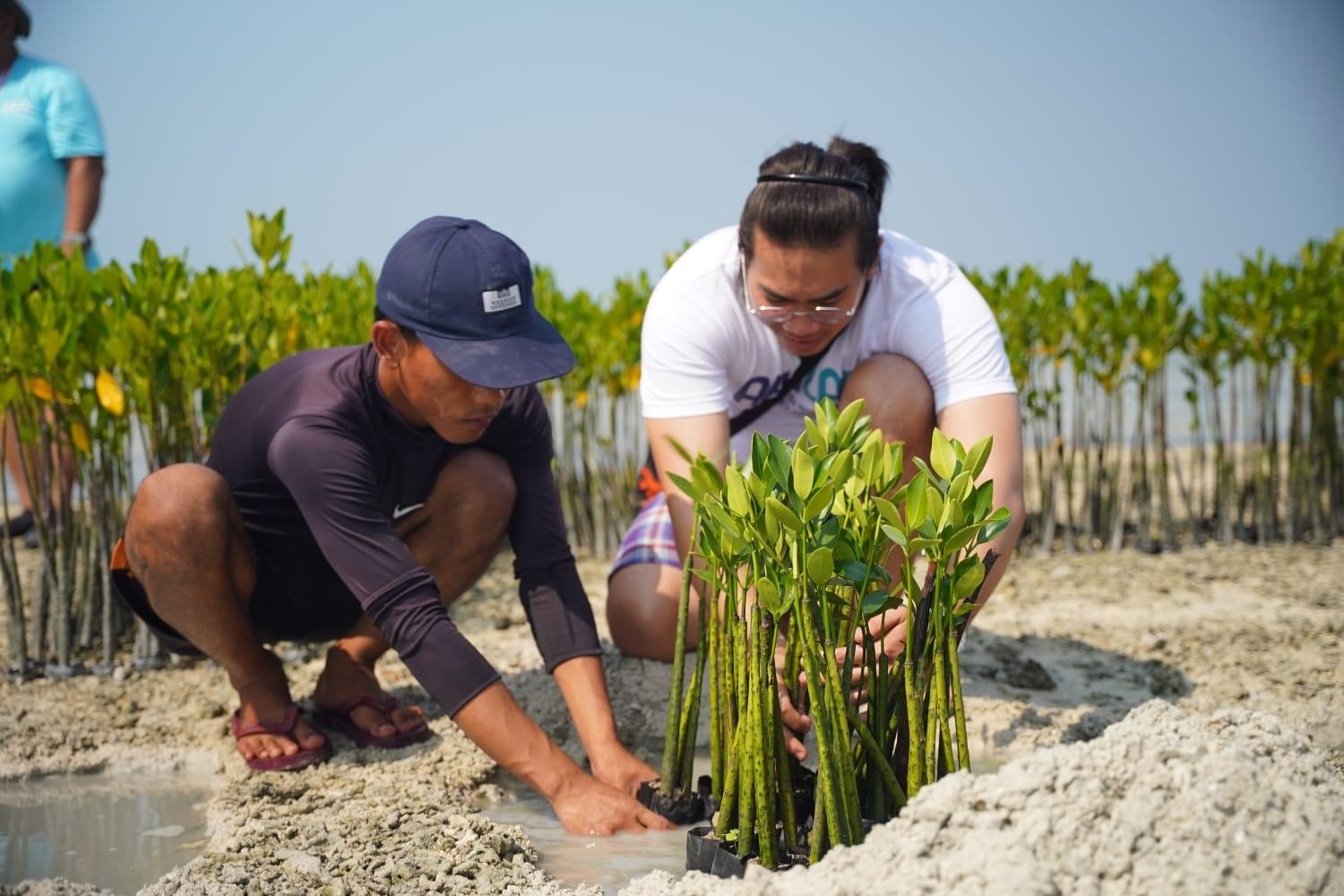 perwira-muda-pis-menanam-mangrove-dan-tranplantasi-terumbu-karang.jpg