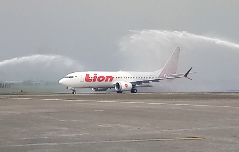 Begini Jawaban Bos Boeing Soal Rencana Indonesia Borong 50 Pesawat