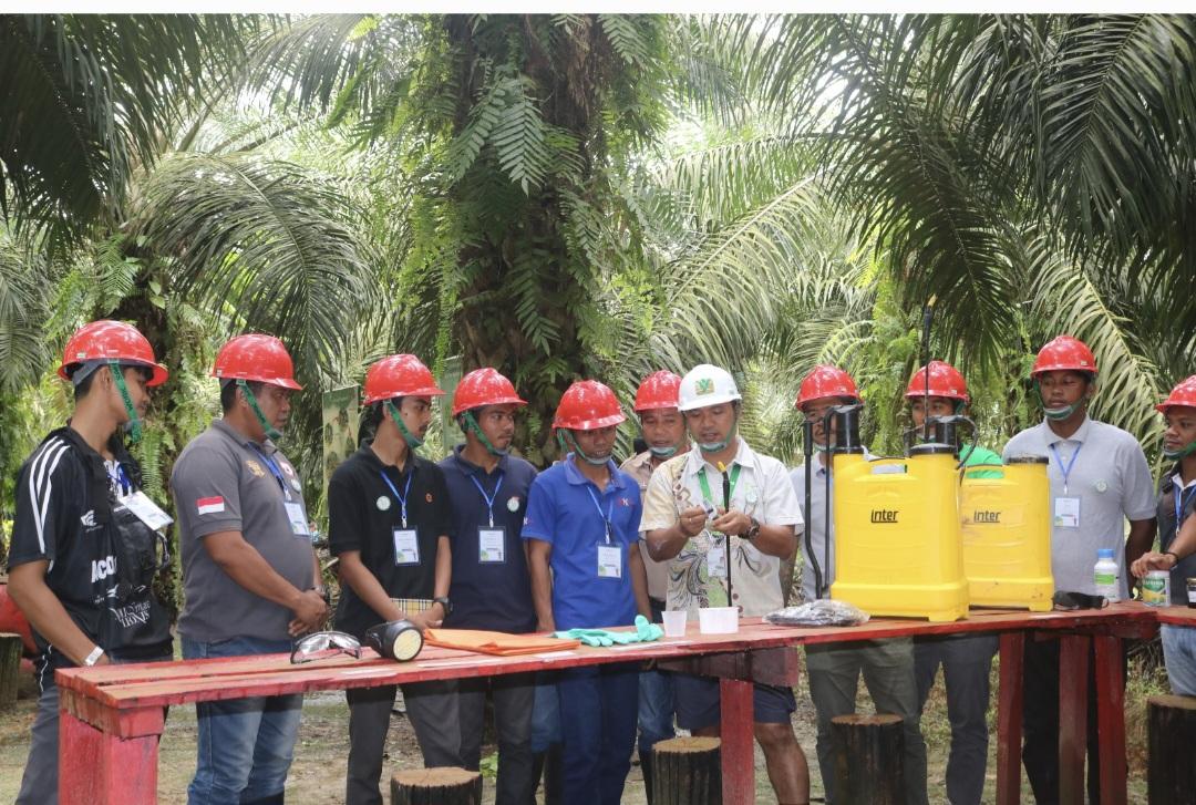 Persoalan Memilih Bibit dan Teknik Perawatan Tanaman Masih Jadi Kendala Petani Sawit