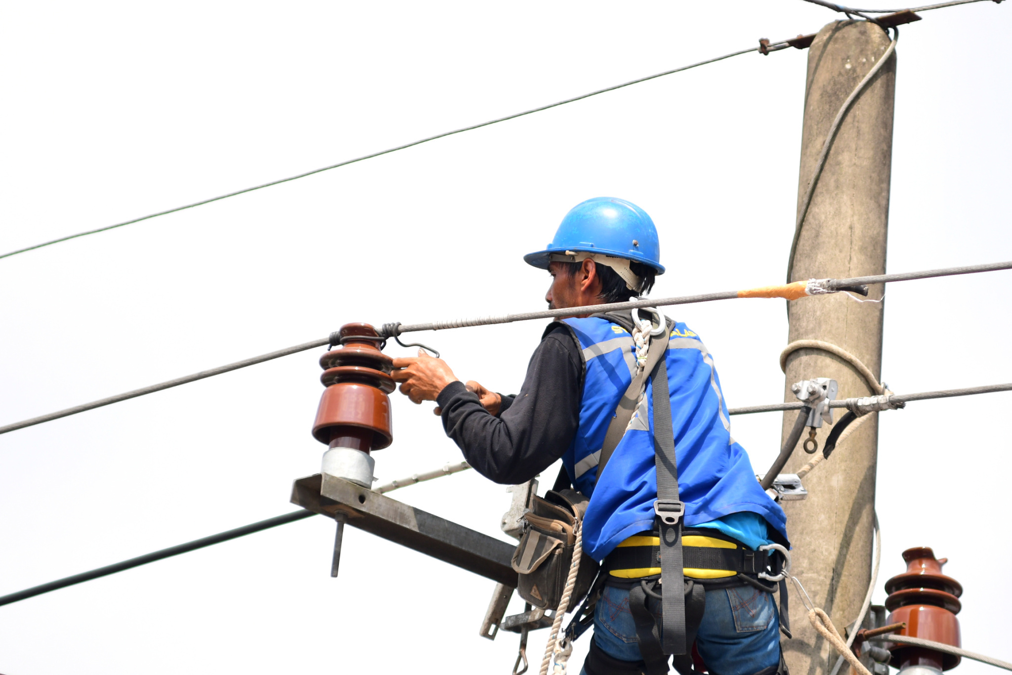 petugas-pln-melukakan-pemeliharaan-jaringan-listrik_20220901_134010.jpg