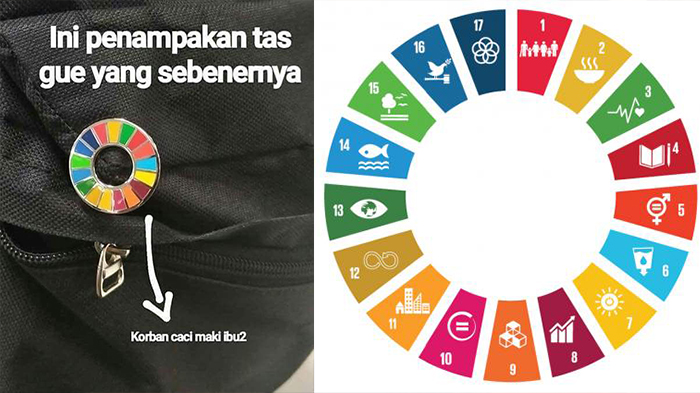 pin-milik-perserikatan-bangsa-bangsa-pbb-yang-dianggap-salah-kaprah_20180214_191857.jpg