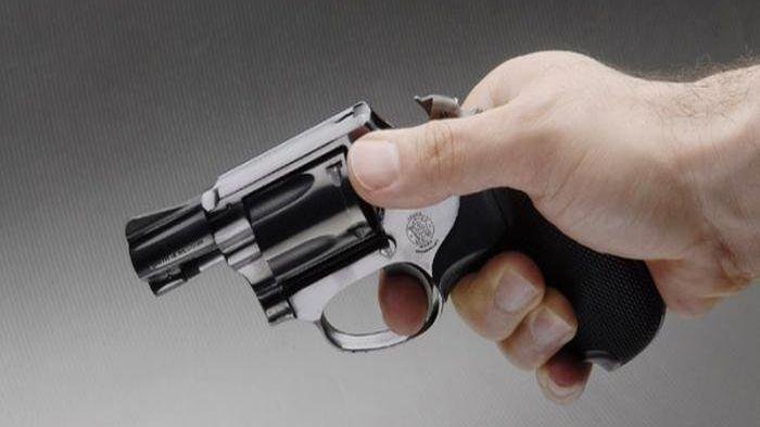 pistol_20180612_141256.jpg