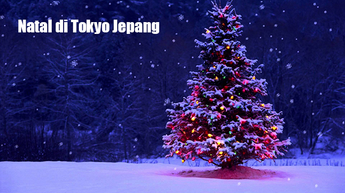 pohon-natal-di-tokyo_20171204_142459.jpg