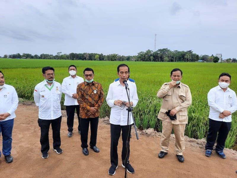 Elite Gerindra Akui Prabowo Kesulitan Jalankan Proyek Food Estate
