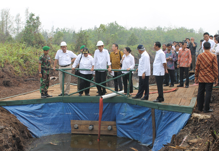 presiden-joko-widodo-didampingi-menko-pmk-puan-maharani_20151101_135322.jpg