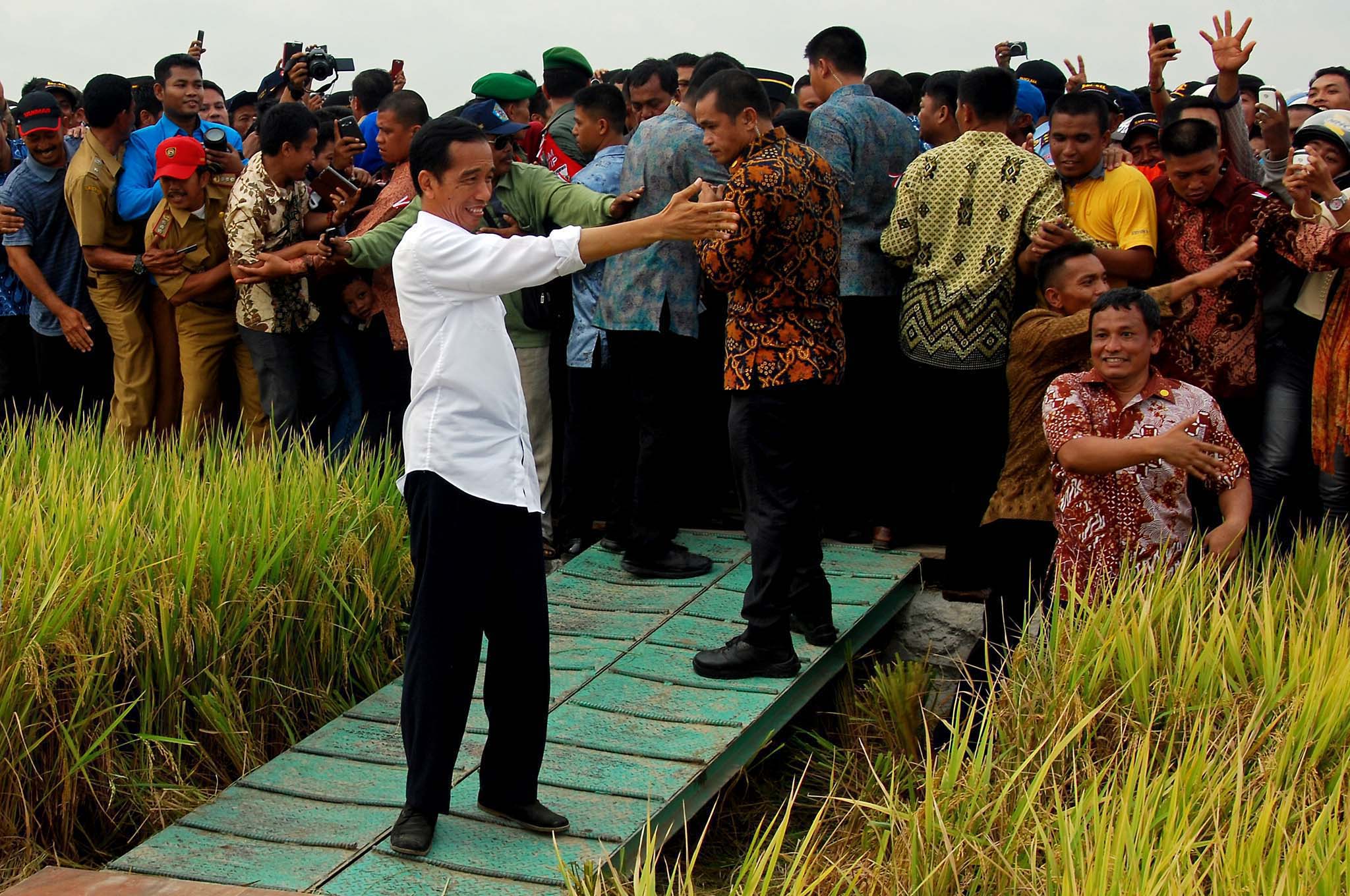 presiden-jokowi-blusukan-ke-sentra-beras-pinrang_20141105_205850.jpg
