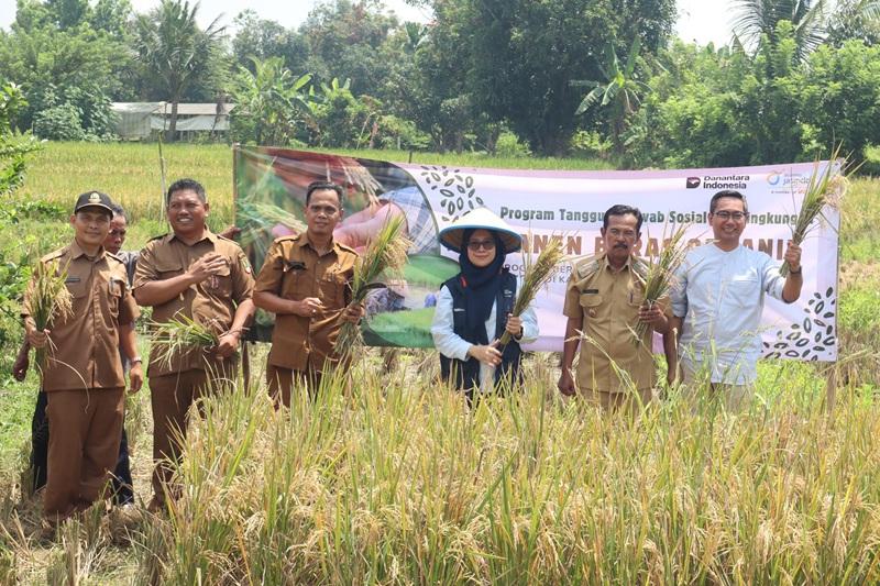 program-pengembangan-dan-edukasi-beras-sehat.jpg