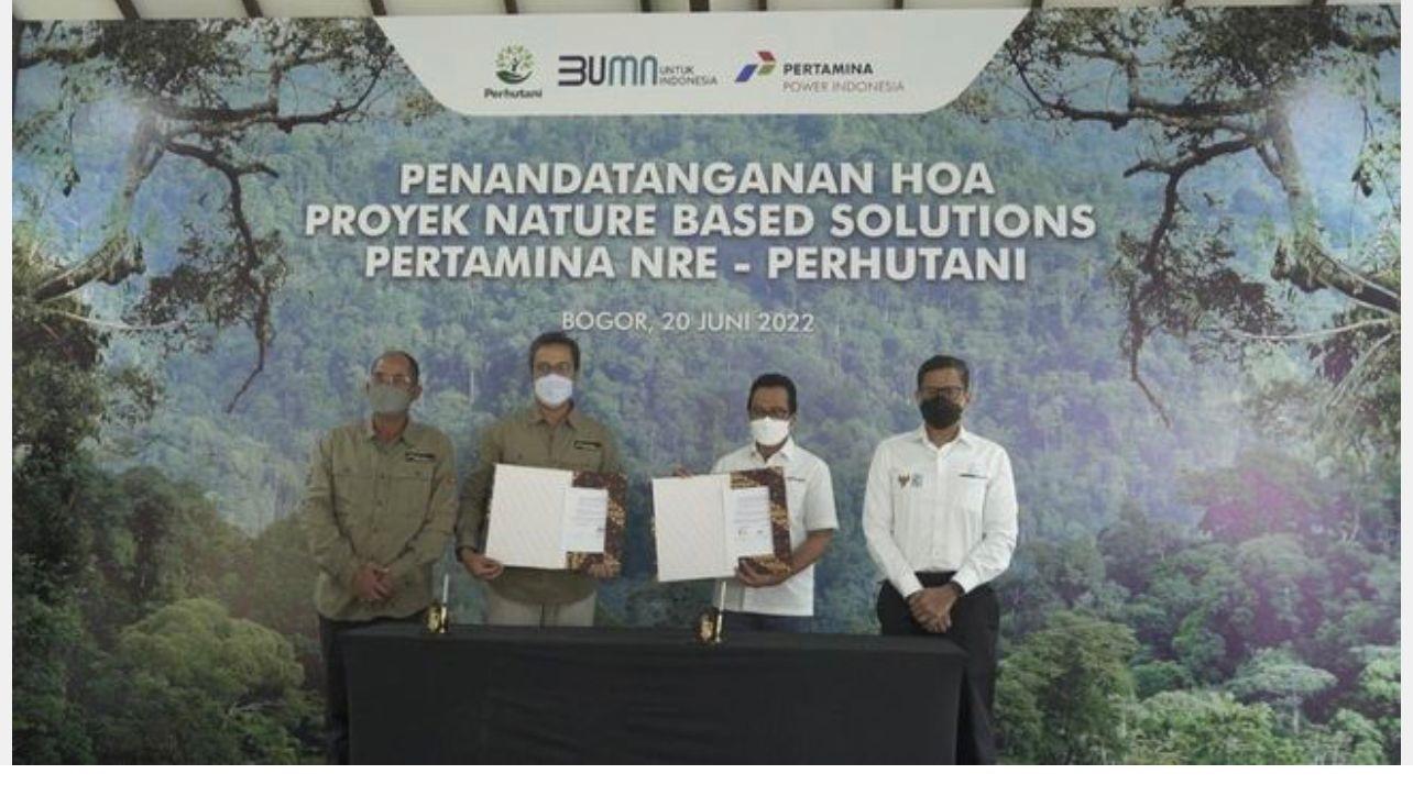 proyek-natured-based-solution-nbs-bertujuan-untuk-mengintensifkan.jpg