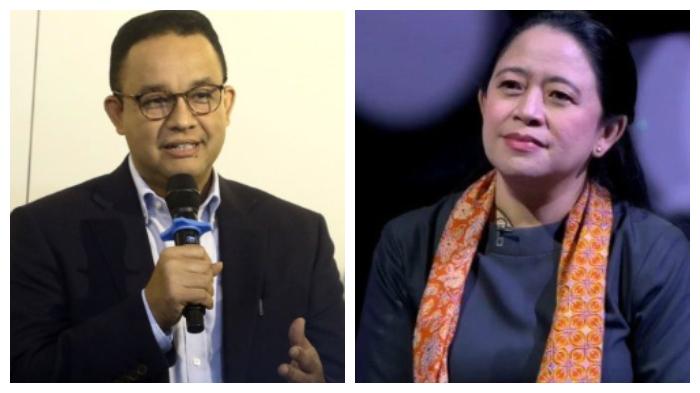 puan-maharani-disebut-cocok-disandingkan-dengan-anies-baswedan.jpg