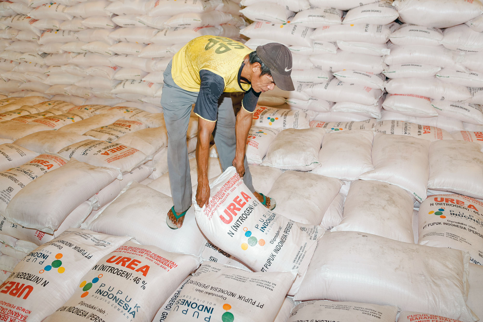pupuk-indonesia-siap-distribusikan-714092-ton-urea-dan-npk_20221114_141239.jpg