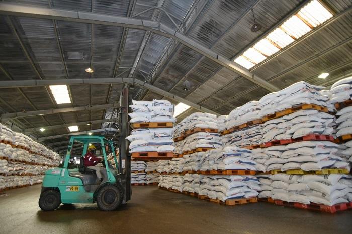 Skema Subsidi Pupuk Dirombak, Perpres 113/2025 Jadi Pendorong Efisiensi Industri 