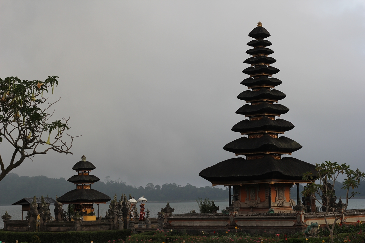 pura_20151207_073858.jpg
