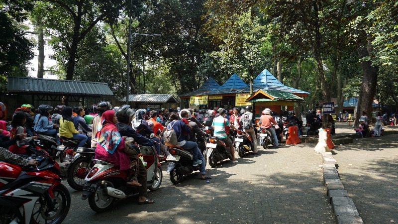 ragunan-nih2_20180619_134806.jpg