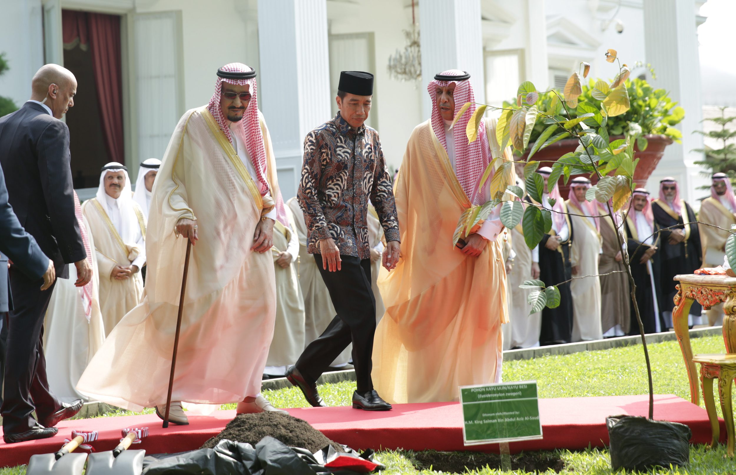 raja-salman-bibantu-presiden-jokowi-tanam-pohon-ulin-di-istana_20170303_102256.jpg