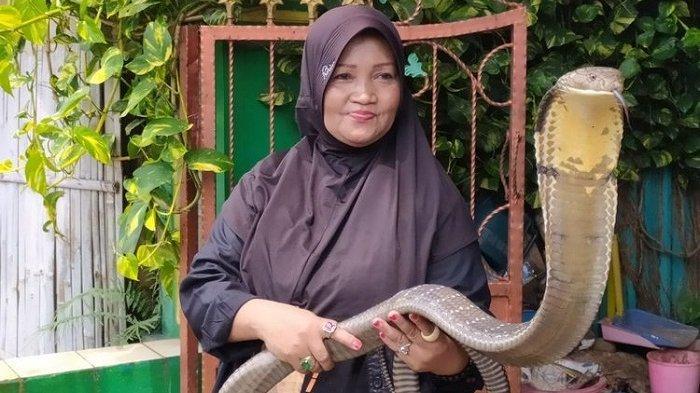 ratu-ular-banyumas.jpg