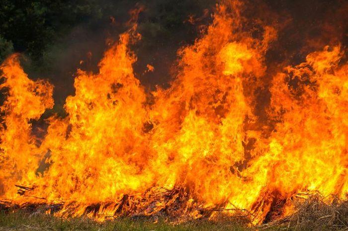 rumah-mewah-ketua-dpr-ri-terbakar-11-unit-damkar-dikerahkan-dan-kini-dijaga-ketat.jpg