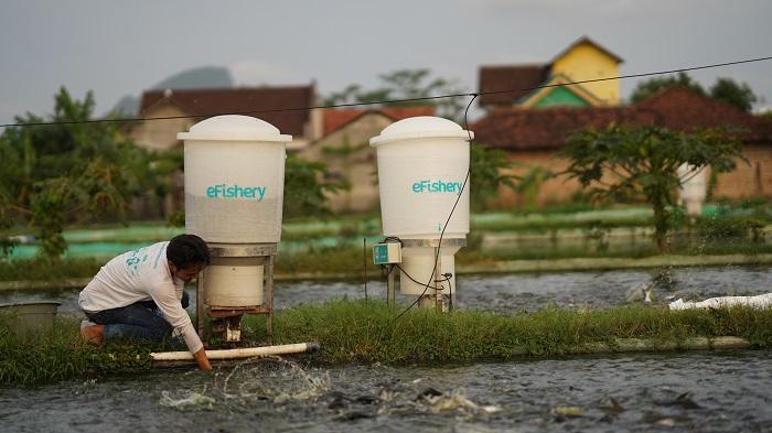 salah-satu-produk-inovasi-efishery-efisheryfeeder.jpg
